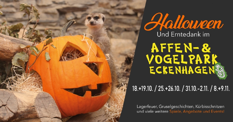 Halloween und Erntedank Aktionstage im Affen- und Vogelpark Eckenhagen