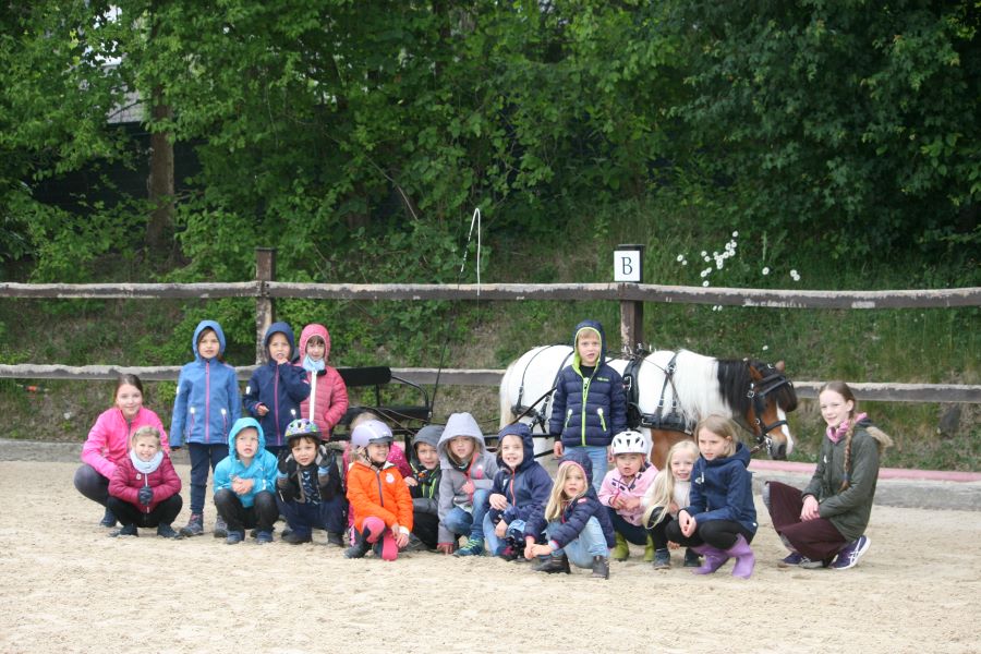 Kleine Künstler, große Pferdeträume: Steckenpferdchen selbst genäht