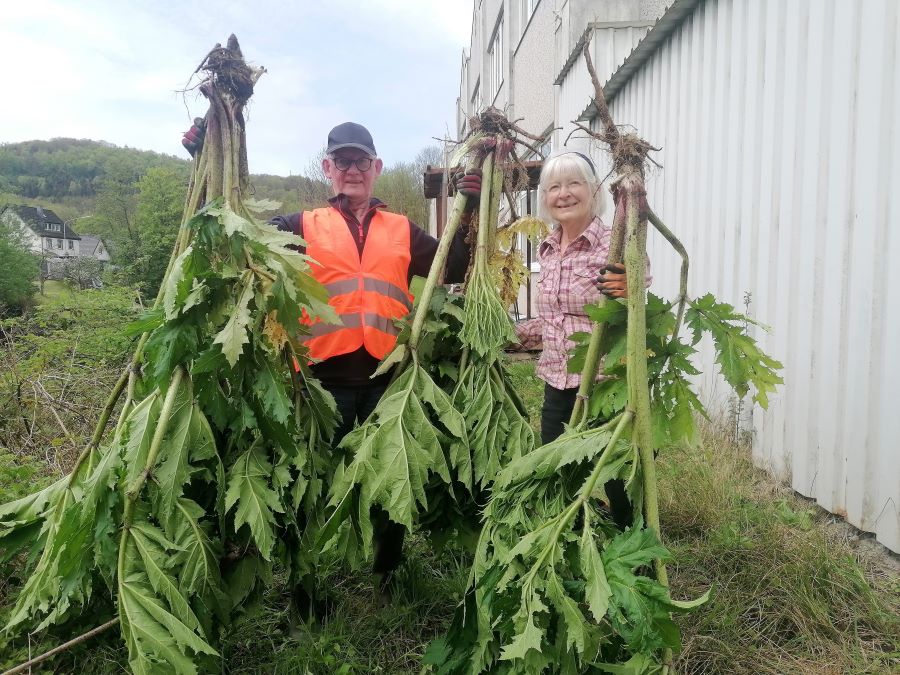 HerkuleX Sasionstart