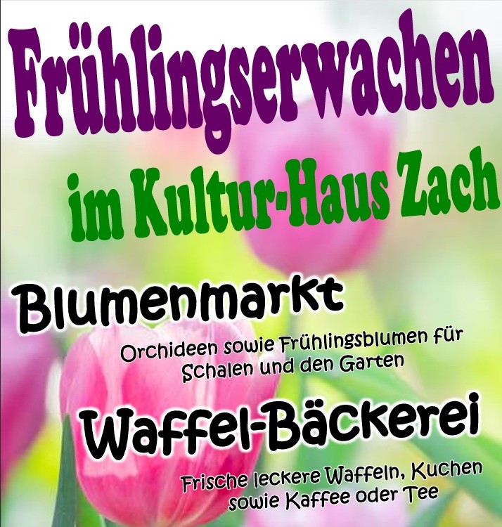 Blumenmarkt, Literatur, Café und Waffelbäckerei